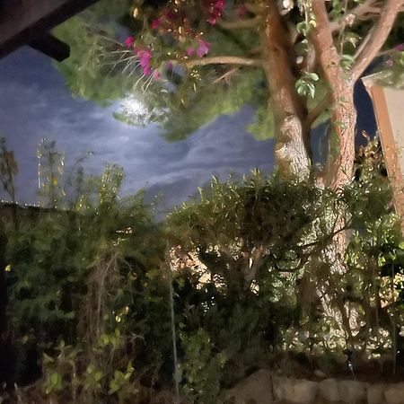 Studio Bandol Avec Jardin エクステリア 写真